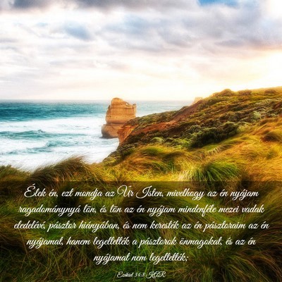 Picture 03 - Ezékiel 34:8 KAR - Élek én, ezt mondja az Úr Isten, mivelhogy az - Bible Verse Picture