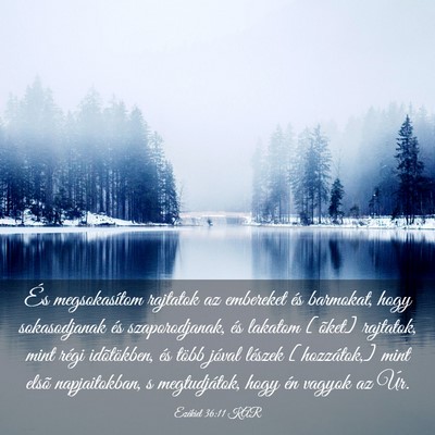 Picture 03 - Ezékiel 36:11 KAR - És megsokasítom rajtatok az embereket és - Bible Verse Picture