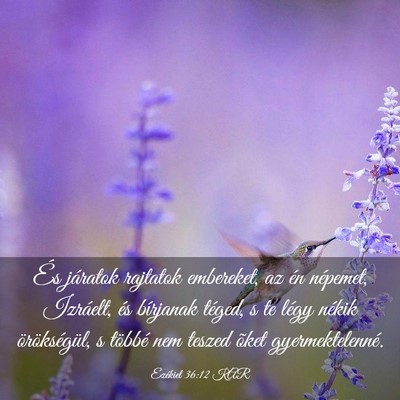 Picture 03 - Ezékiel 36:12 KAR - És járatok rajtatok embereket, az én népemet, - Bible Verse Picture