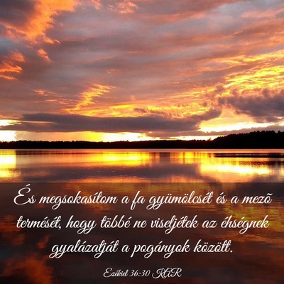 Picture 03 - Ezékiel 36:30 KAR - És megsokasítom a fa gyümölcsét és a mezõ - Bible Verse Picture