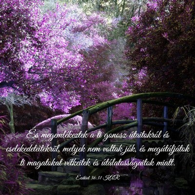 Picture 03 - Ezékiel 36:31 KAR - És megemlékeztek a ti gonosz útaitokról és - Bible Verse Picture