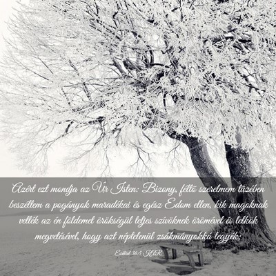Picture 03 - Ezékiel 36:5 KAR - Azért ezt mondja az Úr Isten: Bizony, féltõ - Bible Verse Picture