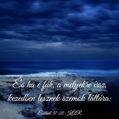 Picture 03 - Ezékiel 37:20 KAR - És ha e fák, a melyekre írsz, kezedben lesznek - Bible Verse Picture