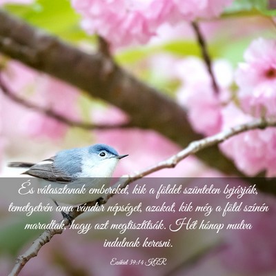 Picture 03 - Ezékiel 39:14 KAR - És választanak embereket, kik a földet - Bible Verse Picture