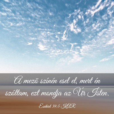 Picture 03 - Ezékiel 39:5 KAR - A mezõ színén esel el, mert én szóltam, ezt - Bible Verse Picture