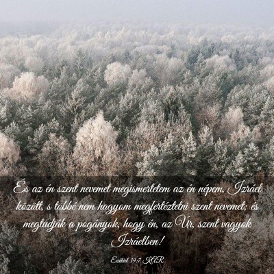 Picture 03 - Ezékiel 39:7 KAR - És az én szent nevemet megismertetem az én - Bible Verse Picture