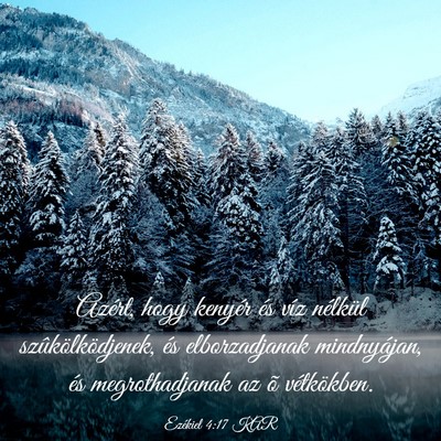 Picture 03 - Ezékiel 4:17 KAR - Azért, hogy kenyér és víz nélkül - Bible Verse Picture