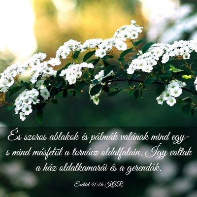 Picture 03 - Ezékiel 41:26 KAR - És szoros ablakok és pálmák valának mind - Bible Verse Picture