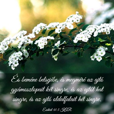 Picture 03 - Ezékiel 41:3 KAR - És beméne belsejébe, és megméré az ajtó - Bible Verse Picture
