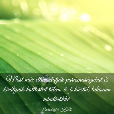 Picture 03 - Ezékiel 43:9 KAR - Most már eltávoztatják paráznaságukat és - Bible Verse Picture
