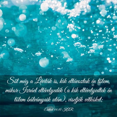 Picture 03 - Ezékiel 44:10 KAR - Sõt még a Léviták is, kik eltávoztak én - Bible Verse Picture