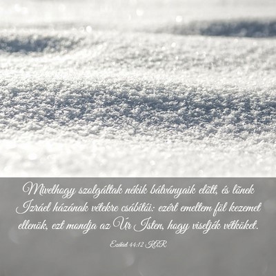 Picture 03 - Ezékiel 44:12 KAR - Mivelhogy szolgáltak nékik bálványaik elõtt, - Bible Verse Picture