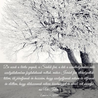 Picture 03 - Ezékiel 44:15 KAR - De azok a lévita-papok, a Sádók fiai, a kik a - Bible Verse Picture