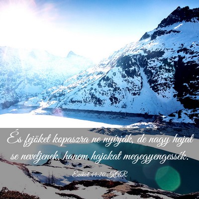 Picture 03 - Ezékiel 44:20 KAR - És fejöket kopaszra ne nyírják, de nagy hajat - Bible Verse Picture