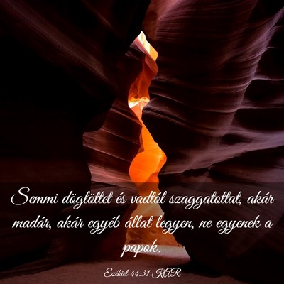 Picture 03 - Ezékiel 44:31 KAR - Semmi döglöttet és vadtól szaggatottat, akár - Bible Verse Picture
