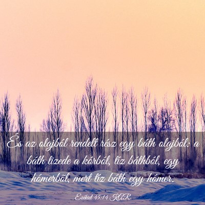 Picture 03 - Ezékiel 45:14 KAR - És az olajból rendelt rész egy báth olajból: - Bible Verse Picture