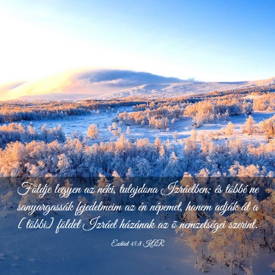Picture 03 - Ezékiel 45:8 KAR - Földje legyen az néki, tulajdona Izráelben; - Bible Verse Picture