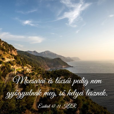 Picture 03 - Ezékiel 47:11 KAR - Mocsarai és tócsái pedig nem gyógyulnak meg, - Bible Verse Picture