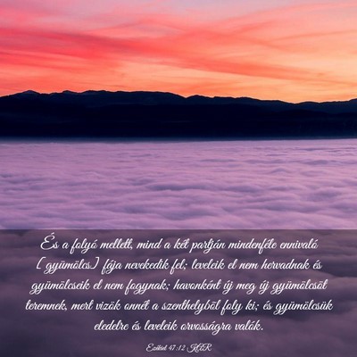Picture 03 - Ezékiel 47:12 KAR - És a folyó mellett, mind a két partján - Bible Verse Picture