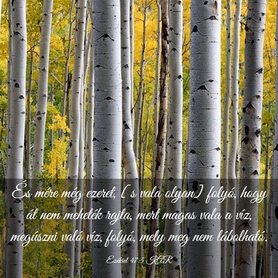Picture 03 - Ezékiel 47:5 KAR - És mére még ezeret, [s vala olyan] folyó, - Bible Verse Picture