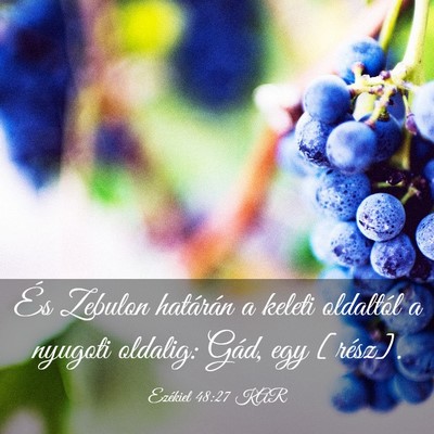 Picture 03 - Ezékiel 48:27 KAR - És Zebulon határán a keleti oldaltól a - Bible Verse Picture