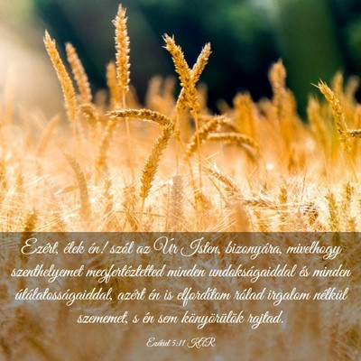 Picture 03 - Ezékiel 5:11 KAR - Ezért, élek én! szól az Úr Isten, - Bible Verse Picture