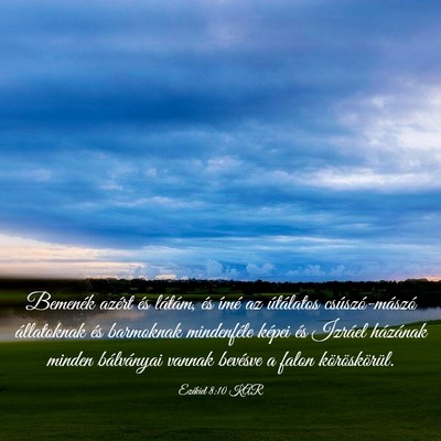 Picture 03 - Ezékiel 8:10 KAR - Bemenék azért és látám, és ímé az - Bible Verse Picture