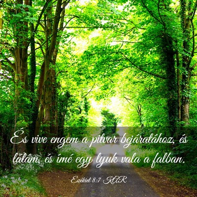 Picture 03 - Ezékiel 8:7 KAR - És vive engem a pitvar bejáratához, és - Bible Verse Picture