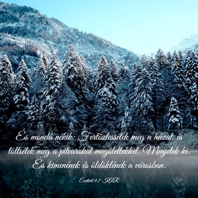 Picture 03 - Ezékiel 9:7 KAR - És mondá nékik: Fertõztessétek meg a házat, - Bible Verse Picture