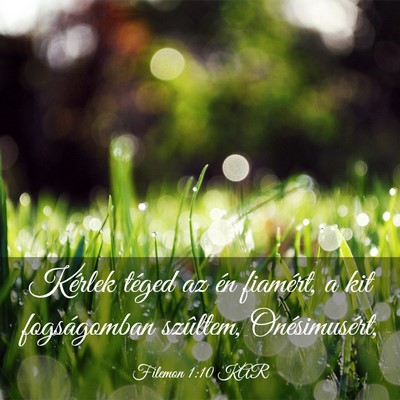 Picture 03 - Filemon 1:10 KAR - Kérlek téged az én fiamért, a kit - Bible Verse Picture