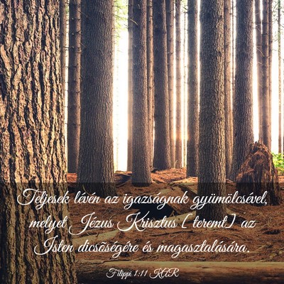 Picture 03 - Filippi 1:11 KAR - Teljesek lévén az igazságnak gyümölcsével, - Bible Verse Picture