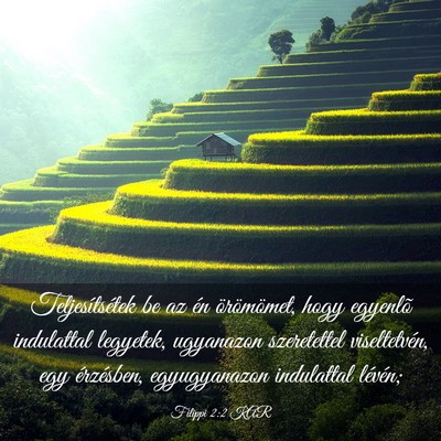 Picture 03 - Filippi 2:2 KAR - Teljesítsétek be az én örömömet, hogy - Bible Verse Picture