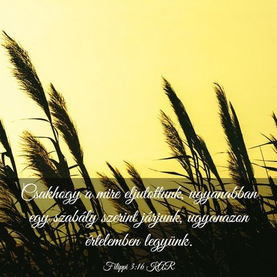Picture 03 - Filippi 3:16 KAR - Csakhogy a mire eljutottunk, ugyanabban egy - Bible Verse Picture