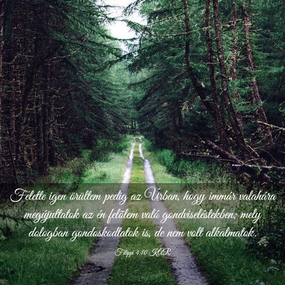Picture 03 - Filippi 4:10 KAR - Felette igen örültem pedig az Úrban, hogy - Bible Verse Picture