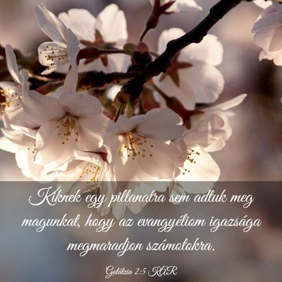 Picture 03 - Galátzia 2:5 KAR - Kiknek egy pillanatra sem adtuk meg magunkat, - Bible Verse Picture