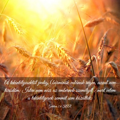 Picture 03 - Galátzia 2:6 KAR - A tekintélyesektõl pedig, (bárminõk valának - Bible Verse Picture