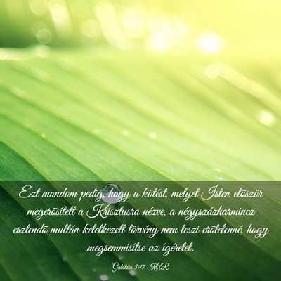 Picture 03 - Galátzia 3:17 KAR - Ezt mondom pedig, hogy a kötést, melyet Isten - Bible Verse Picture