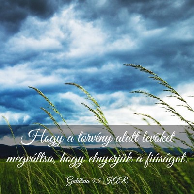 Picture 03 - Galátzia 4:5 KAR - Hogy a törvény alatt levõket megváltsa, hogy - Bible Verse Picture