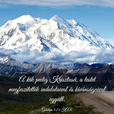 Picture 03 - Galátzia 5:24 KAR - A kik pedig Krisztuséi, a testet - Bible Verse Picture