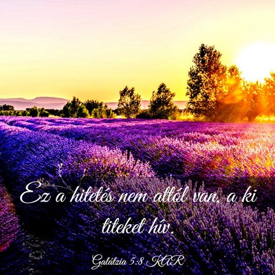 Picture 03 - Galátzia 5:8 KAR - Ez a hitetés nem attól van, a ki titeket - Bible Verse Picture