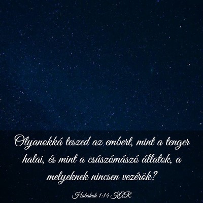 Picture 03 - Habakuk 1:14 KAR - Olyanokká teszed az embert, mint a tenger halai, - Bible Verse Picture