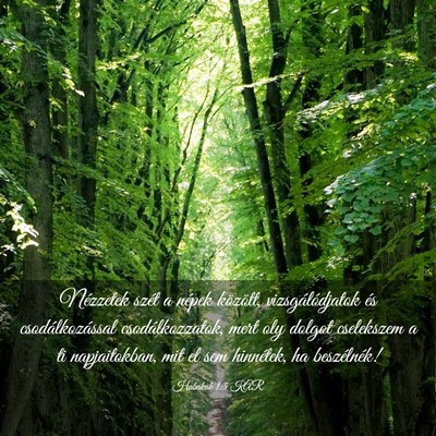 Picture 03 - Habakuk 1:5 KAR - Nézzetek szét a népek között, - Bible Verse Picture