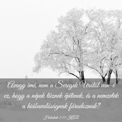 Picture 03 - Habakuk 2:13 KAR - Avagy ímé, nem a Seregek Urától van-é ez, - Bible Verse Picture