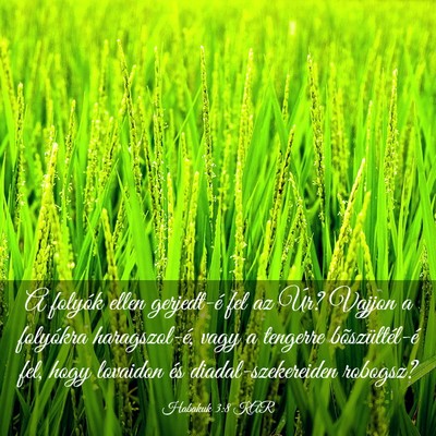 Picture 03 - Habakuk 3:8 KAR - A folyók ellen gerjedt-é fel az Úr? Vajjon a - Bible Verse Picture