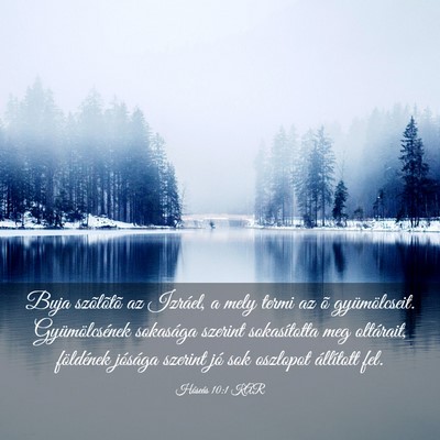 Picture 03 - Hóseás 10:1 KAR - Buja szõlõtõ az Izráel, a mely termi az õ - Bible Verse Picture