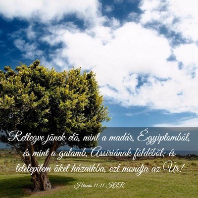 Picture 03 - Hóseás 11:11 KAR - Rettegve jõnek elõ, mint a madár, - Bible Verse Picture