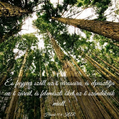 Picture 03 - Hóseás 11:6 KAR - És fegyver száll az õ városaira, és - Bible Verse Picture