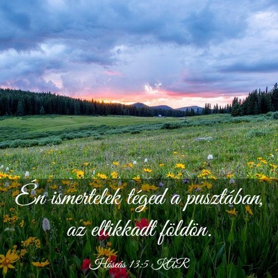Picture 03 - Hóseás 13:5 KAR - Én ismertelek téged a pusztában, az eltikkadt - Bible Verse Picture