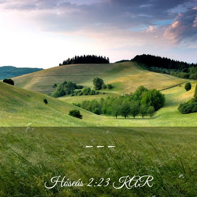 Picture 03 - Hóseás 2:23 KAR -  - Bible Verse Picture