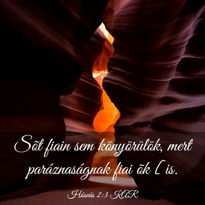 Picture 03 - Hóseás 2:3 KAR - Sõt fiain sem könyörülök, mert - Bible Verse Picture